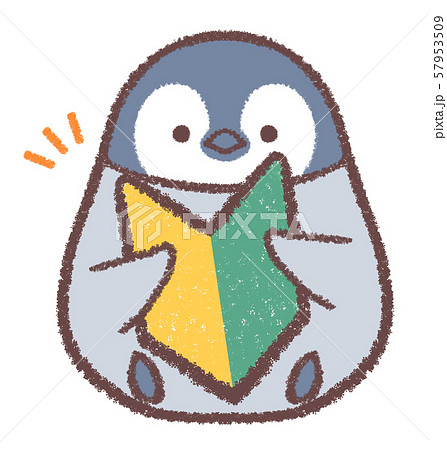 初心者マークペンギンヒナ 初心者マークペンギンヒナ 57953509