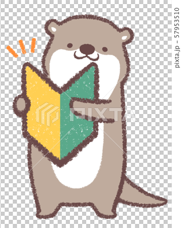 初學者Mark Otter 57953510