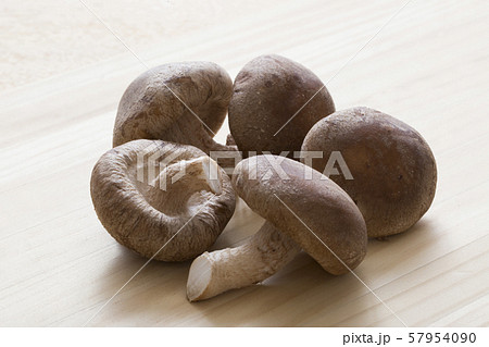 椎茸 57954090