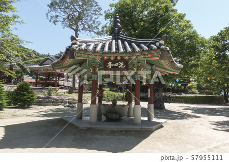 神勒寺 節 釈迦牟尼 57955111