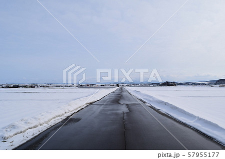 美瑛の雪解け道 美瑛の雪解け道 57955177