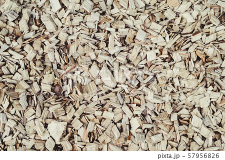 Wood sawdust background. Top view. 57956826