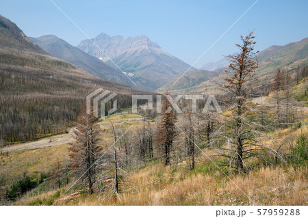 Waterton Lakes National Park, Alberta, Canada 57959288