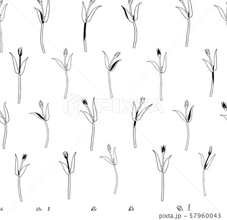 Vector seamless botanical pattern with hand drawn herbs isolated on white background. Endless Vector seamless botanical pattern with hand drawn herbs isolated on white background. Endless 57960043