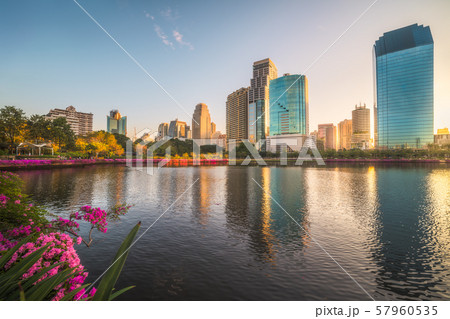 Lake with Purple Flowers in City Park under 57960535