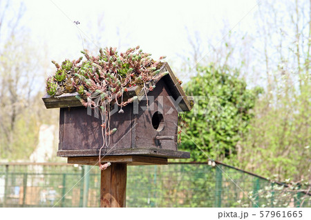A birdhouse 57961665