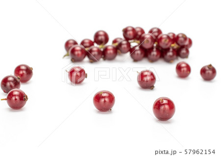 Fresh dark redcurrant isolated on white 57962154