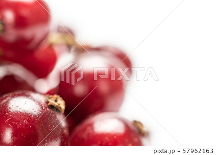 Fresh dark redcurrant isolated on white 57962163