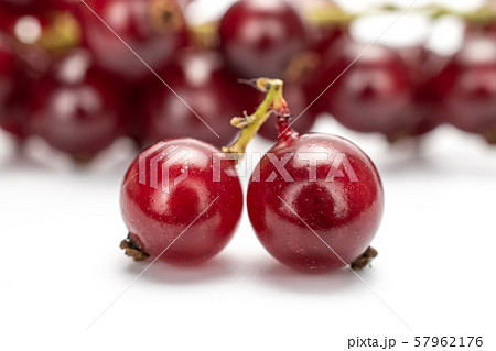 Fresh dark redcurrant isolated on white 57962176