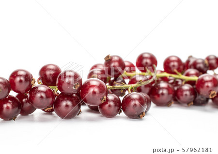 Fresh dark redcurrant isolated on white 57962181