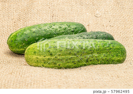 Fresh green cucumber on jute Fresh green cucumber on jute 57962495
