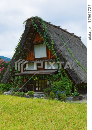 白川郷 秋の風景 茅葺の屋根にヘチマ 白川郷 秋の風景 茅葺の屋根にヘチマ 57962727
