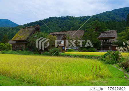 白川郷　合掌造りの寺　明善寺　 57962802
