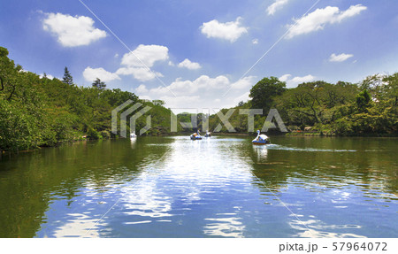 井之頭公園 井之頭公園 57964072