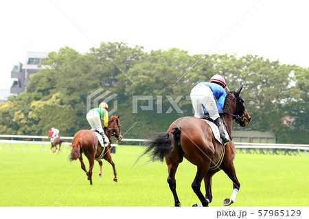 競走馬馬場入場と返し馬 57965129