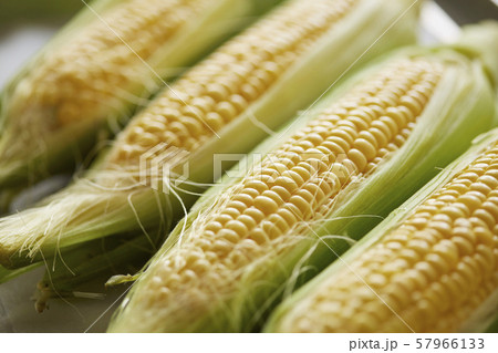 とうもろこし 57966133