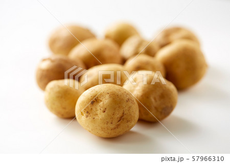 新じゃが 57966310