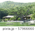 栗林公園 57966660