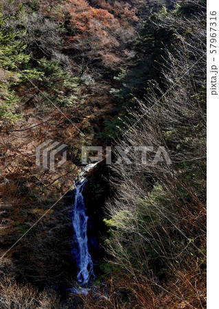 西沢渓谷　大久保の滝に逆光に輝る木々 57967316