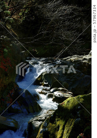 西沢渓谷　渓流と逆光に輝る木々 57967334