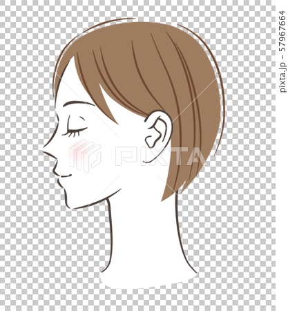 女性の横顔のイラスト素材
