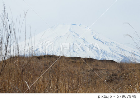 富士山(北富士演習場/山梨県富士吉田市・山中湖村・忍野村) 富士山(北富士演習場/山梨県富士吉田市・山中湖村・忍野村) 57967949