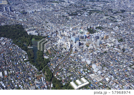 吉祥寺周辺／郊外の住宅地、空撮 57968974