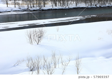 空知川雪景色 57969397
