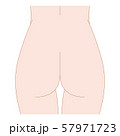 女性　ヒップ 57971723