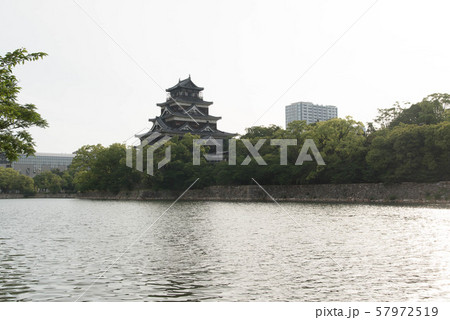 広島城天守閣と濠 57972519