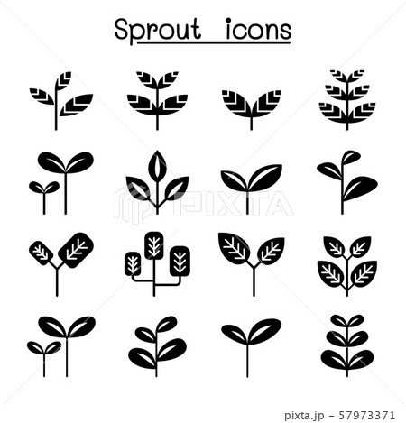 Sprout, plant, treetop, leaf icon set vector 57973371
