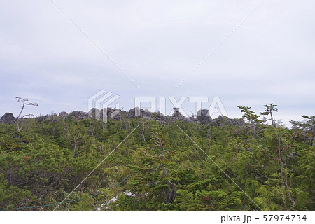 天狗原の景色(白馬連峰、長野県北安曇) 天狗原の景色(白馬連峰、長野県北安曇) 57974734