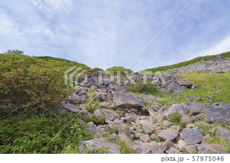 天狗原から白馬乗鞍岳の登山道の景色（白馬連峰、長野県北安曇） 57975046