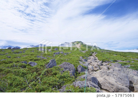 天狗原から白馬乗鞍岳の登山道の景色（白馬連峰、長野県北安曇） 57975063
