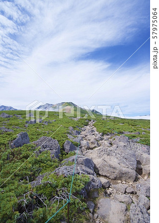 天狗原から白馬乗鞍岳の登山道の景色（白馬連峰、長野県北安曇） 57975064
