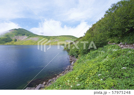 白馬大池周辺の景色(白馬連峰、長野県北安曇) 白馬大池周辺の景色(白馬連峰、長野県北安曇) 57975248