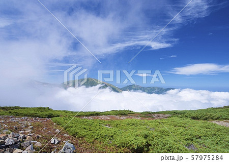 白馬大池から小蓮華山への登山道（白馬連峰、長野県北安曇） 57975284