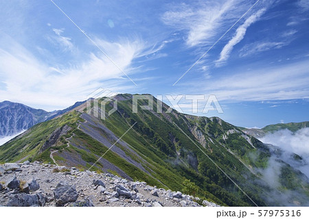 白馬大池から小蓮華山への登山道（白馬連峰、長野県北安曇） 57975316