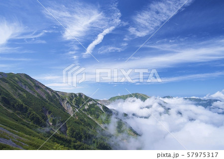 白馬大池から小蓮華山への登山道（白馬連峰、長野県北安曇） 57975317