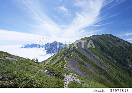 白馬大池から小蓮華山への登山道（白馬連峰、長野県北安曇） 57975318