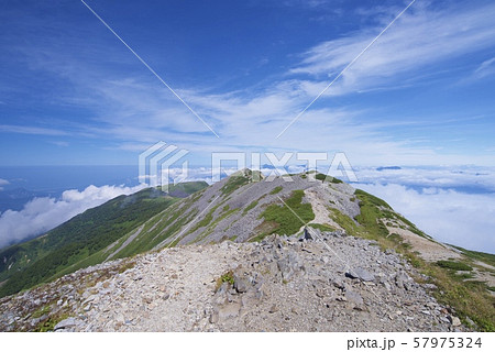 白馬大池から小蓮華山への登山道（白馬連峰、長野県北安曇） 57975324