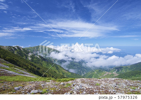 白馬大池から小蓮華山への登山道（白馬連峰、長野県北安曇） 57975326