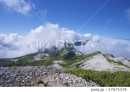 小蓮華山から白馬岳への登山道(白馬連峰、長野県北安曇) 小蓮華山から白馬岳への登山道(白馬連峰、長野県北安曇) 57975376