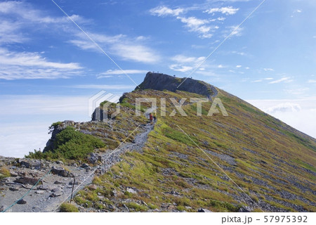 小蓮華山から白馬岳への登山道（白馬連峰、長野県北安曇） 57975392