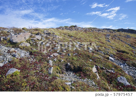 小蓮華山から白馬岳への登山道（白馬連峰、長野県北安曇） 57975457