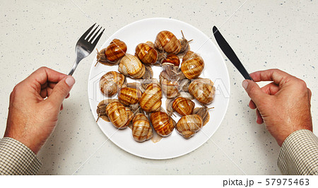 Seafood on white plate for cooking 57975463