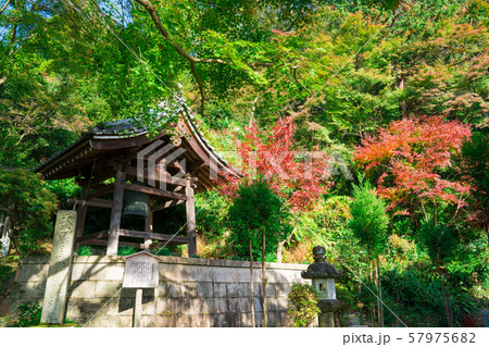 京都　清閑寺の紅葉 57975682
