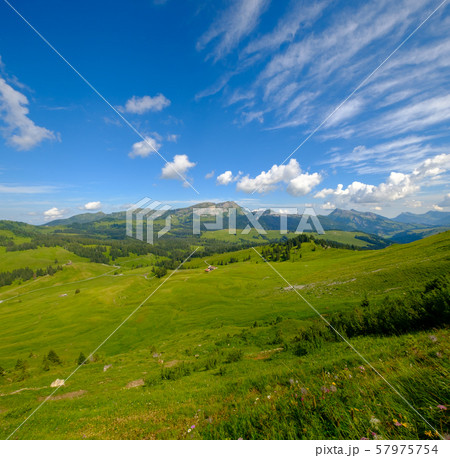 Summer time mountain panoramic landscape in Switzerland 57975754