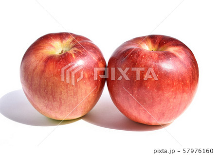 りんご（サンつがる） 57976160