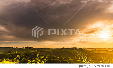 Vineyards in Austria south Styria, wine country, 57976346